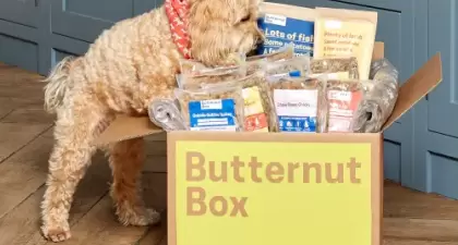 Stallholder image for Butternut Box Dog Food
