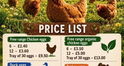 Stallholder image for Gaywood Farm Eggs